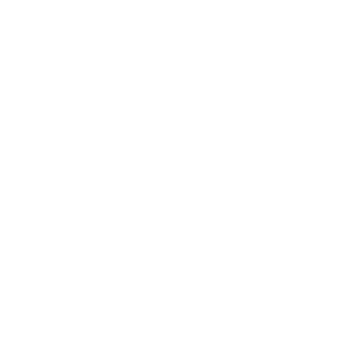 Sport Talent Noord Logo